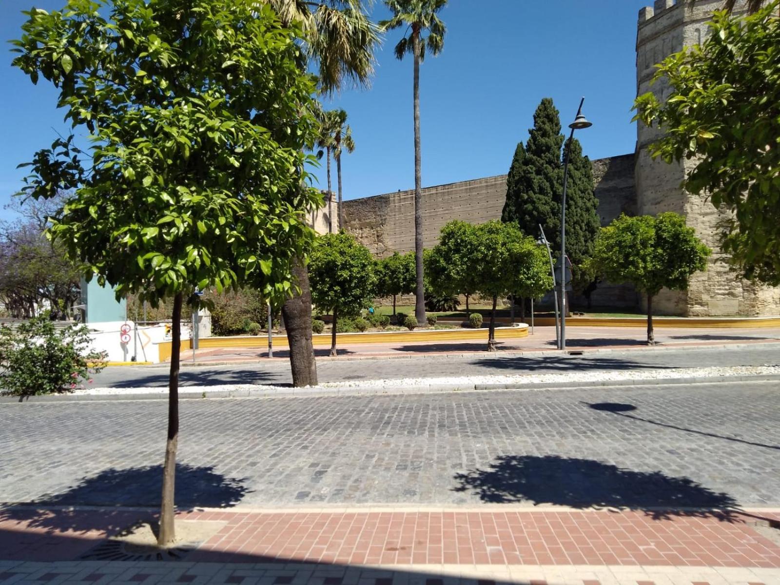Karisma Alcazar Apartman Jerez de la Frontera Kültér fotó